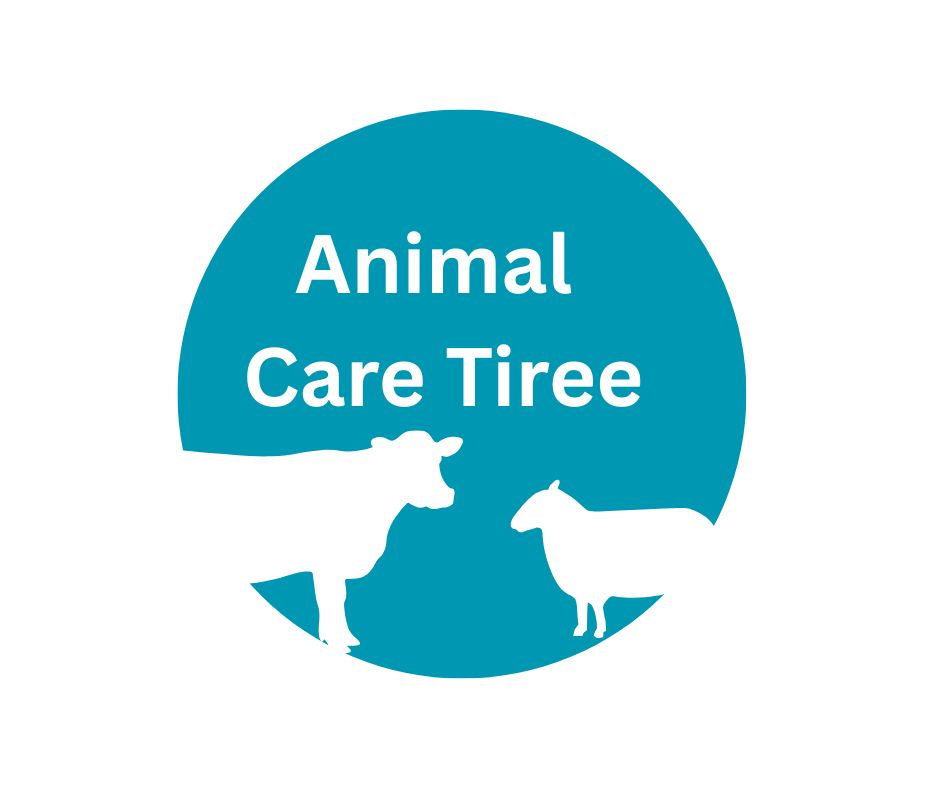 A Community Vet Practice?